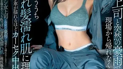 Kẹt Trong Xe Với Sếp Nữ Giữa Cơn Mưa Bão – Phim Sex JAV Vietsub HD | Phevkl App